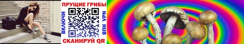 Псилоцибиновые грибы MAGIC MUSHROOMS  MEGA онион  Волжский 