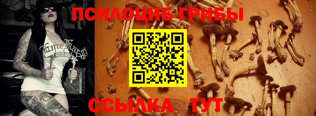 Галлюциногенные грибы Magic Shrooms Волжский