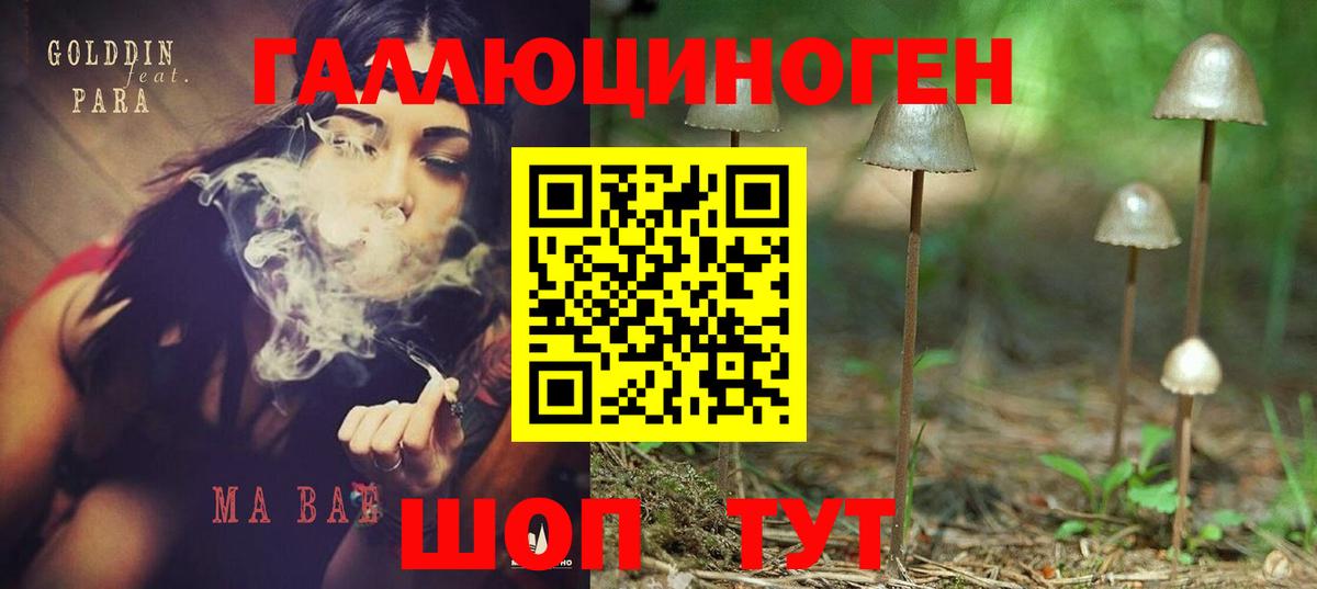 купить закладку  Вход с VPN  Волжский  Псилоцибиновые грибы Psilocybe 
